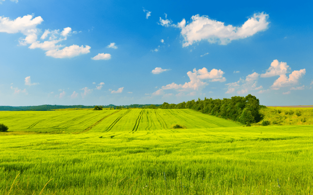 Buyer’s failure to obtain severance amounted to anticipatory breach of contract