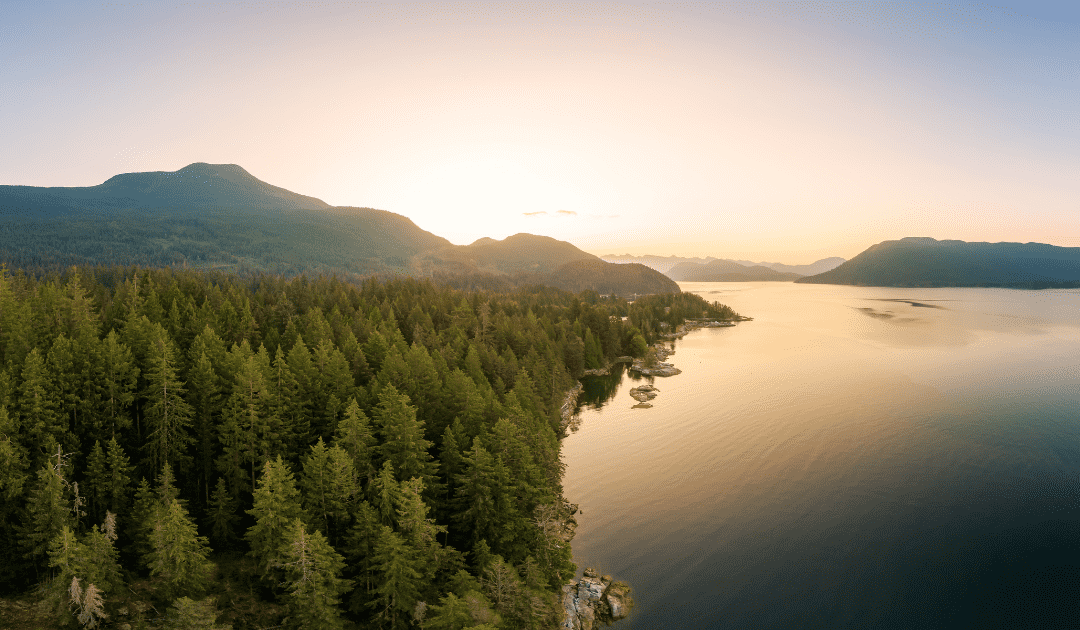 B.C. Realtors fined over $200k for failing to disclose property restrictions