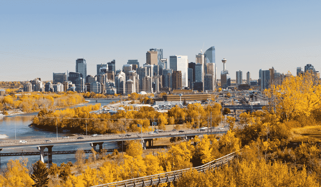 Calgary’s overbidding market cools in Q3 with 44% drop while prices hold steady