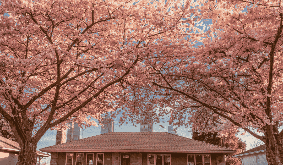 Canada’s housing market will see a “traditional spring surge” in 2025